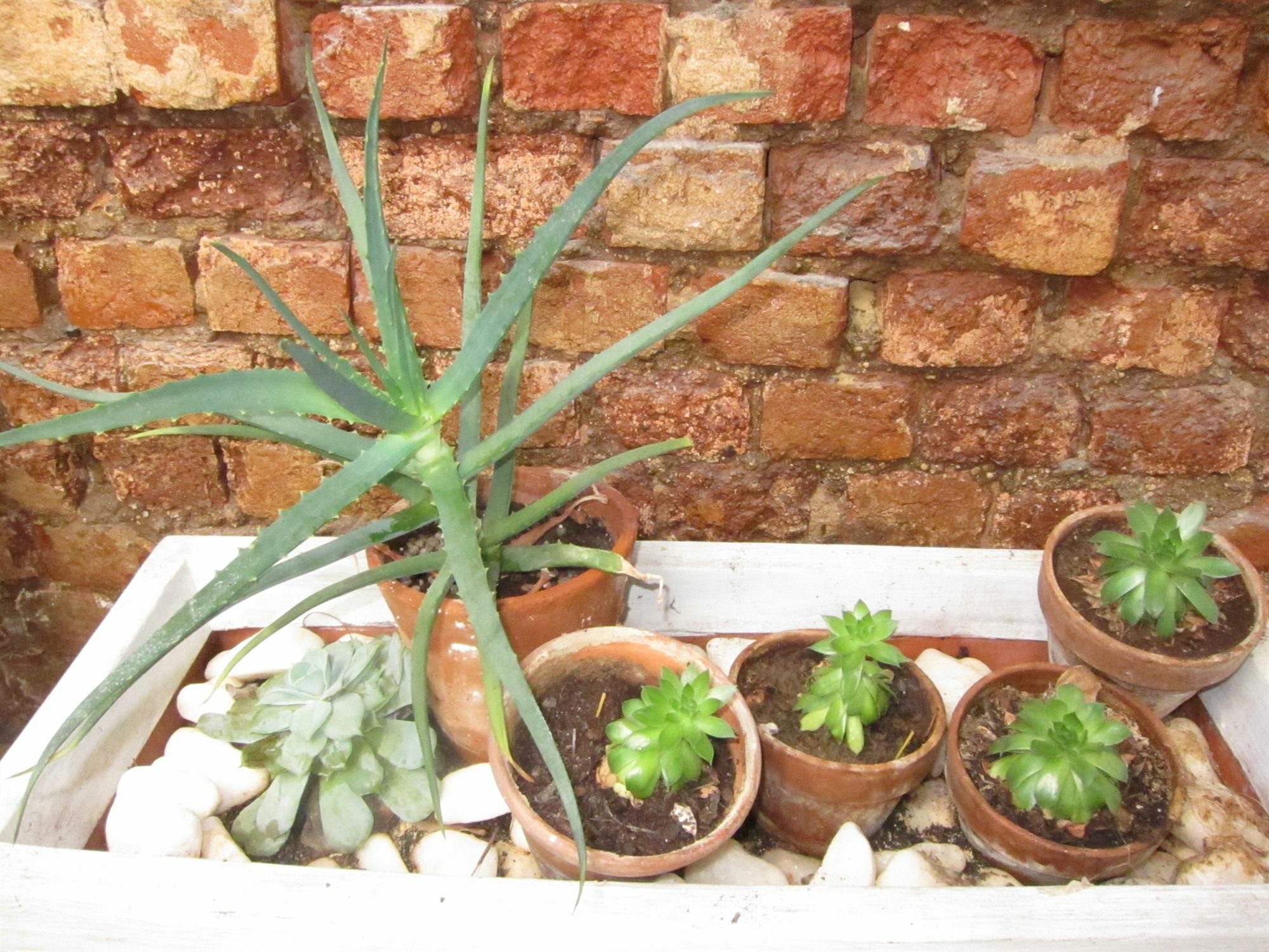 Avatara Bed & Breakfast Cidade Do Cabo Exterior foto
